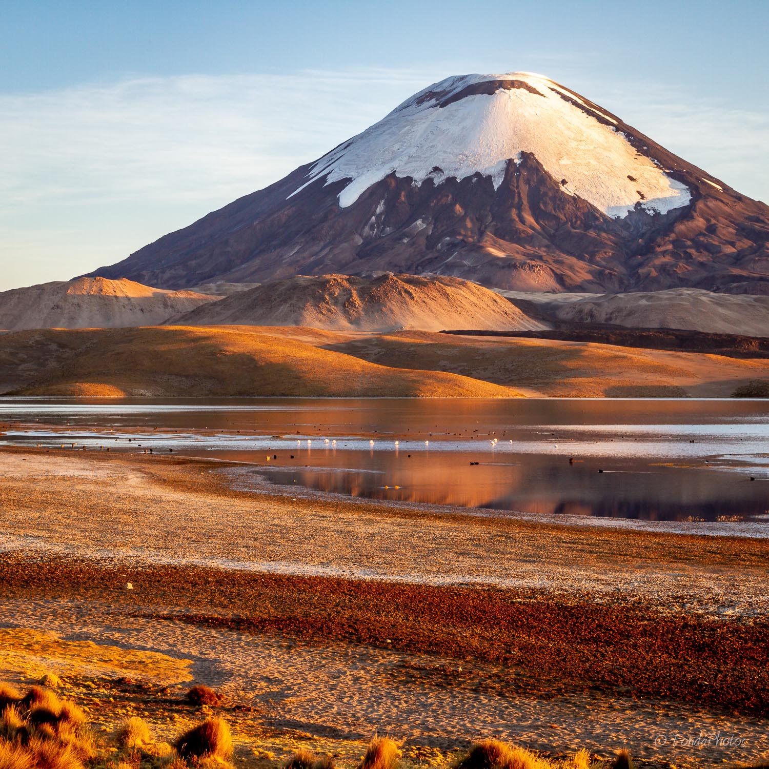 Lago Chungara - FondaFotos