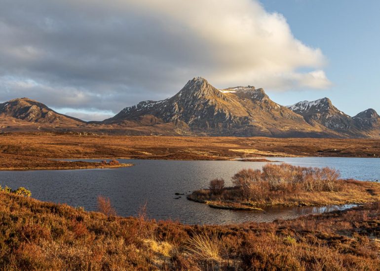 Ben Loyal - Fondafotos