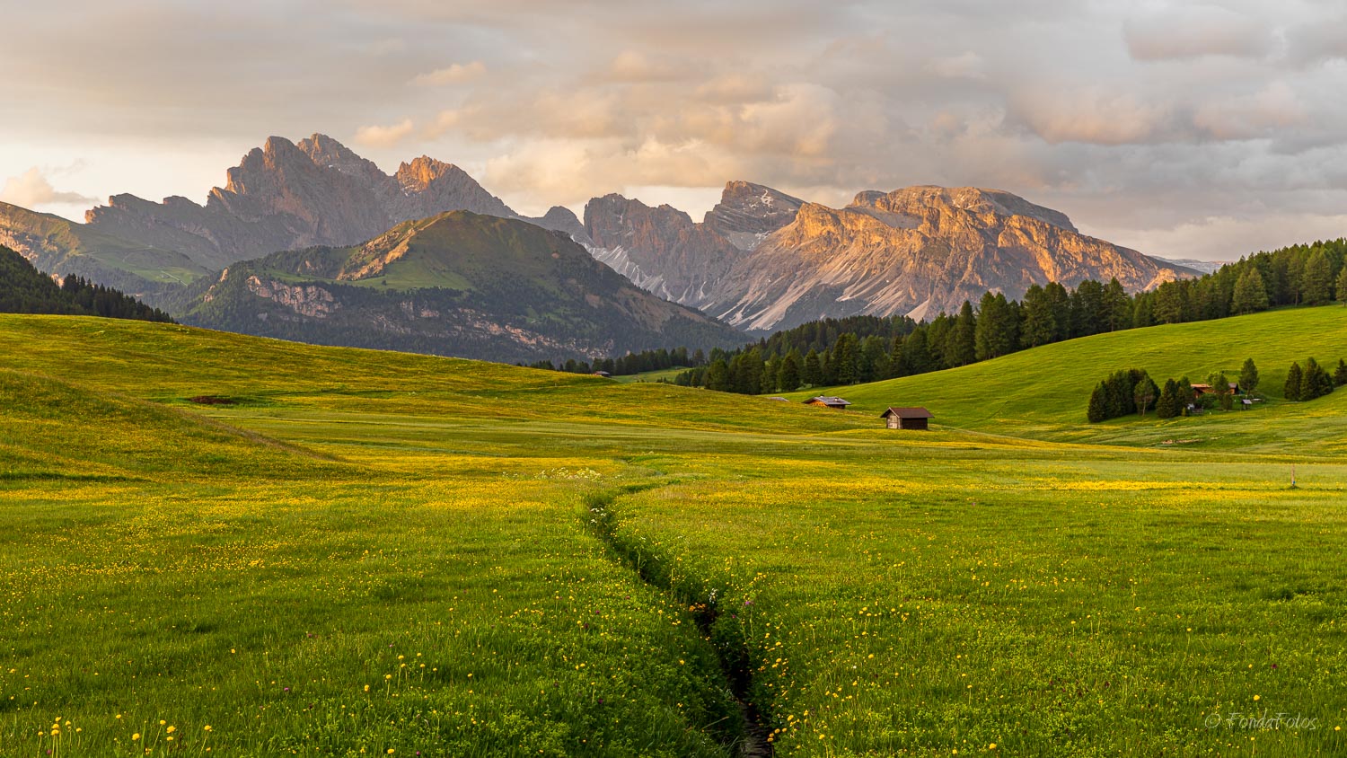 Dolomites - Alpe Di Siusi - Fondafotos